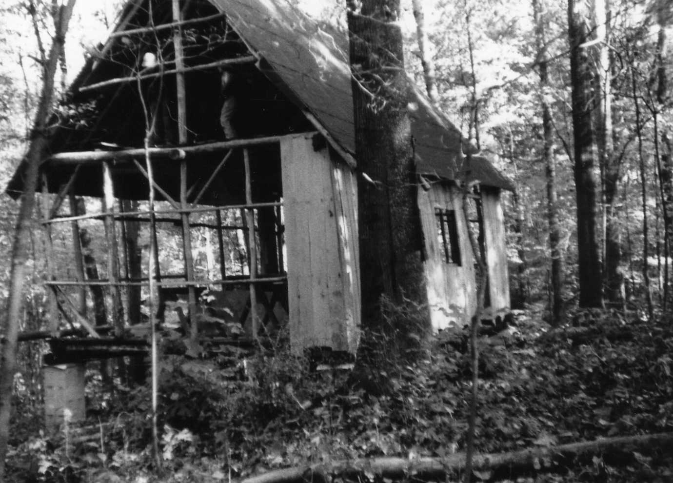 806 Cabin FiskForest 1974320